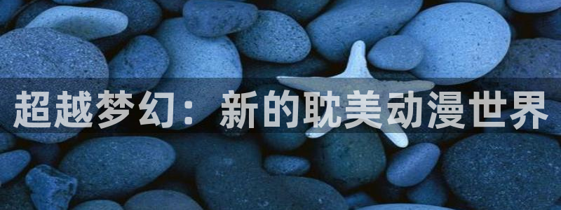 天堂动漫av：超越梦幻：新的耽美动漫世界