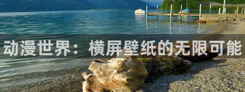 天堂动漫官方官网：动漫世界：横屏壁纸的无限可能