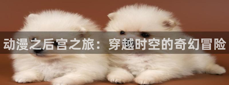 美妙天堂动漫在线观看动漫完整版：动漫之后宫之旅：穿越时空的奇幻冒险